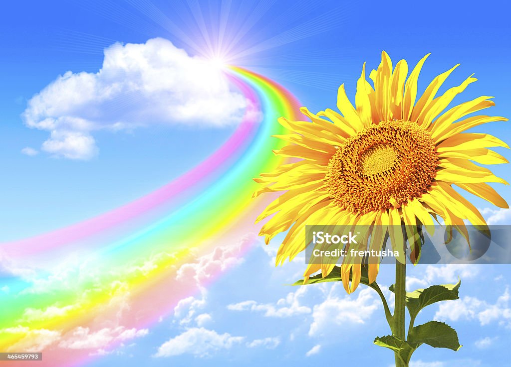 Rainbow Sunshine Sunflower Vintage Tee Rainbow Sunshine Sunflower Vintage Tee