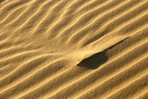 a small strip of metal causing a shadows on a dune