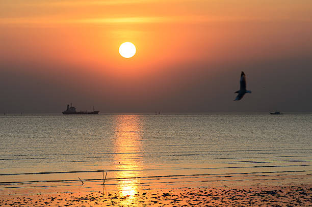 istock Sunset at Bangpoo beach, Thailand 465463279