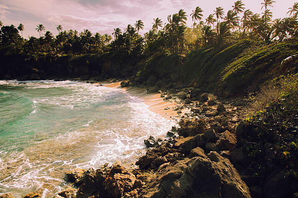 Hispanic man hiking during a vacation talking on his smart phone at Cerro Gordo beach in Vega Alta, Puerto Rico.