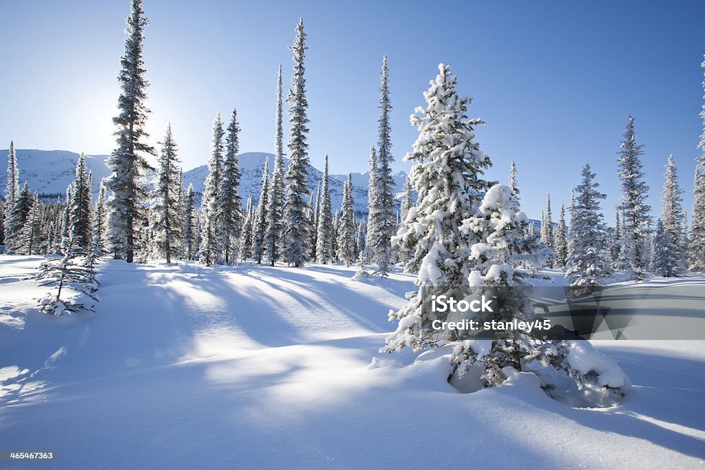 Snowy Winter Landscape Snow covered Boreal Forest, Endicott Mountains, Brooks Range, Alaska Adventure Stock Photo