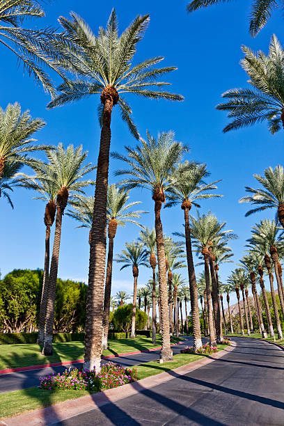 Driveway in Palm Springs stock photo