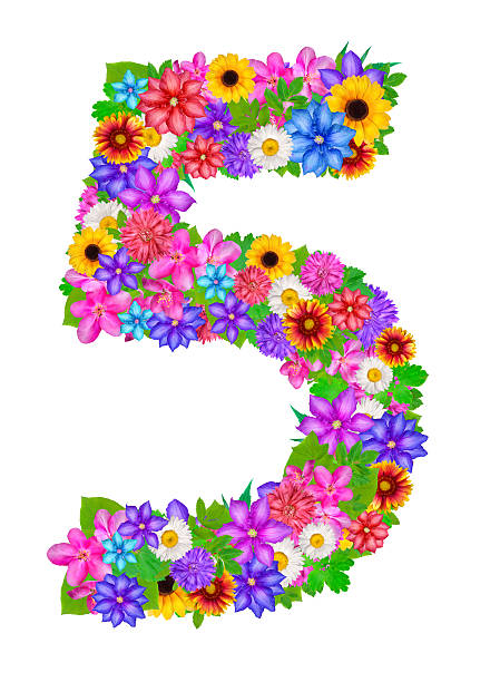 Number 5 Made From Flowers Stock Illustration - Download Image Now