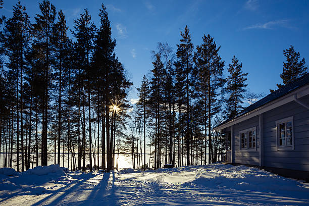 istock Winter lake in forest with house 465470634