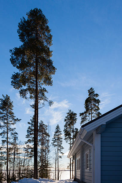 istock Winter lake in forest with house 465470950