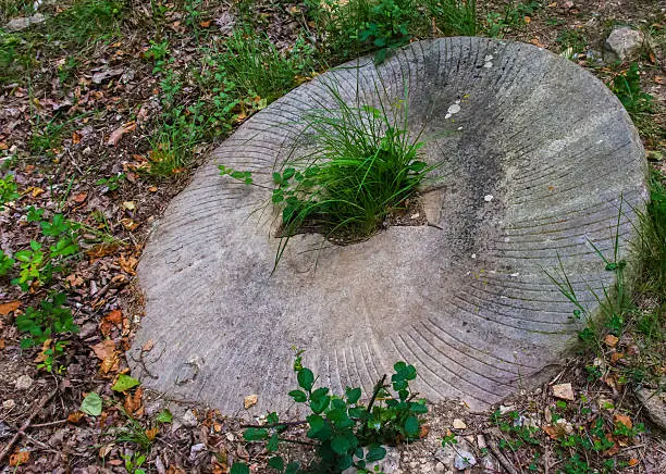 Wheel of an abandoned mill, buried in the ground as a result of aging