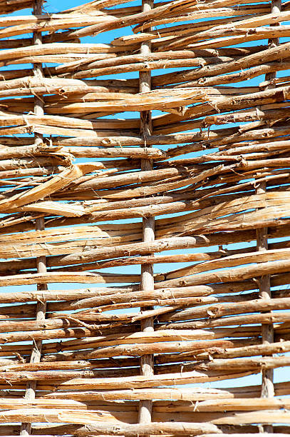 Rattan wattled wicker pattern. Brushwood textured fence. Outdoors close-up.
