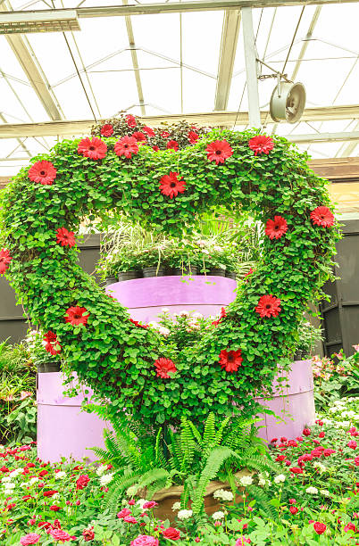 istock Flower in the park. 465479762