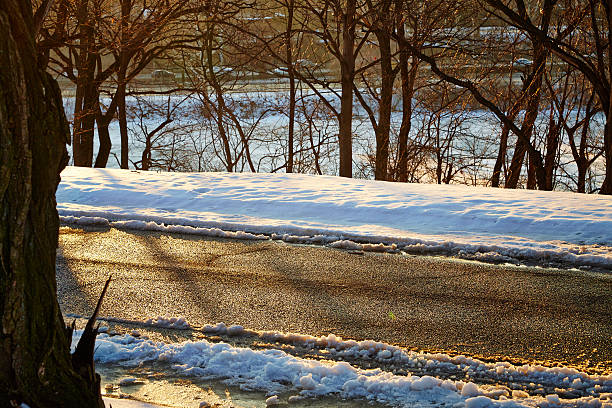 Road in the Sunshine
