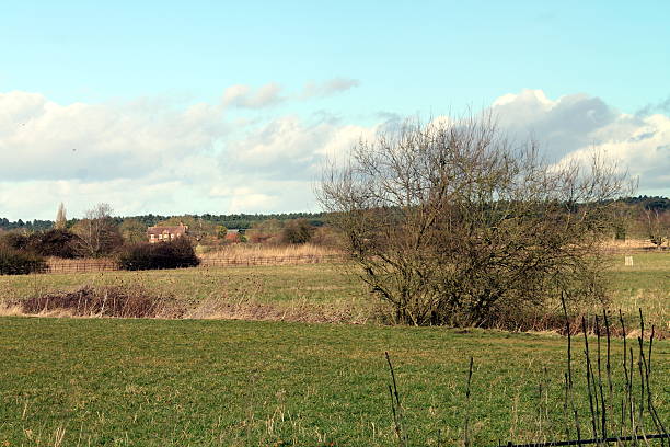istock Norfolk Farms 465484196