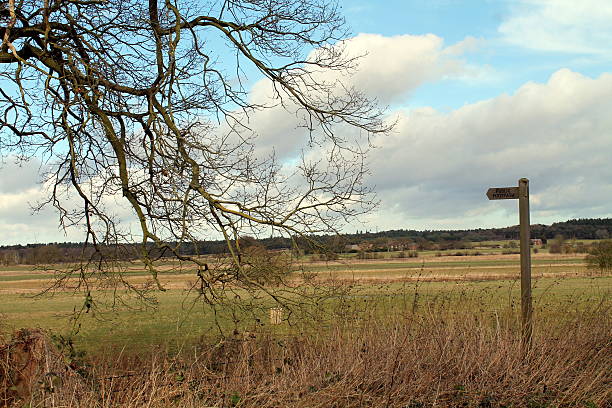 istock Norfolk Farms 465484198