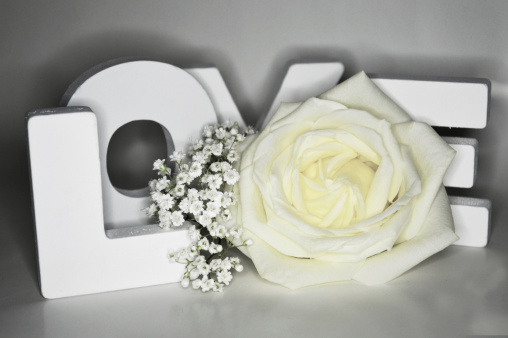 digitally enhanched picture of a white rose and letters spelling love. little white candyhearts. for wedding, valentine..
