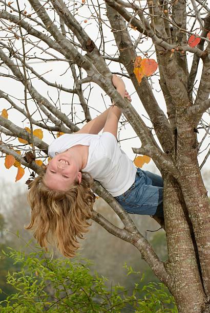istock Young girl hanging in tree 465484773