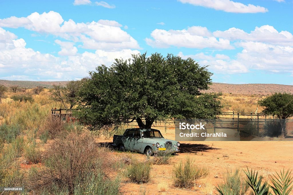 Namibia, shady place for the car under tree, blue sky A shady spot for a car in Namibia 2015 Stock Photo