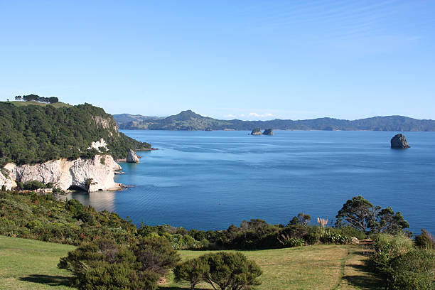 istock Coromandel, New Zealand 465491521