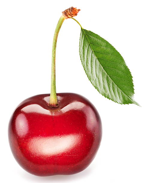 istock One perfect sweet cherry with the leaf. 465493436