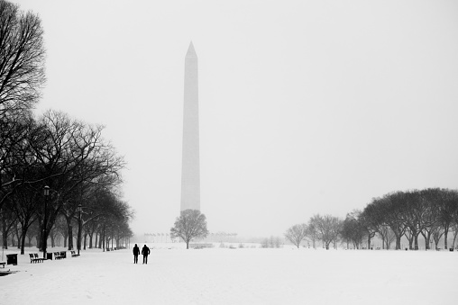 A view of the Washington Monument from the National Mall in the winter.