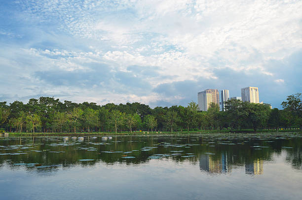 istock Green grass field in big city park 465496522