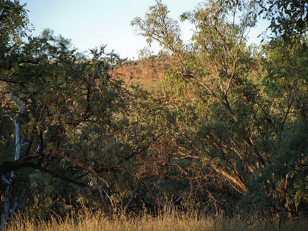istock Kimberleys Region Western Australia 465497384