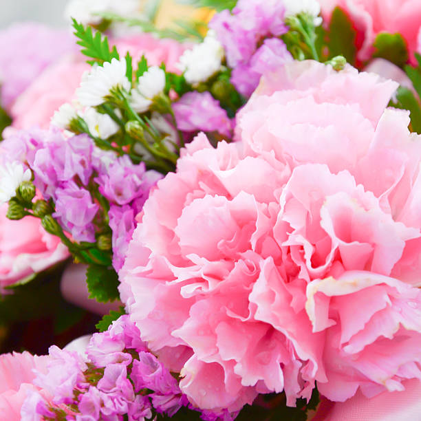 istock carnations in the basket with the morning light. 465498150