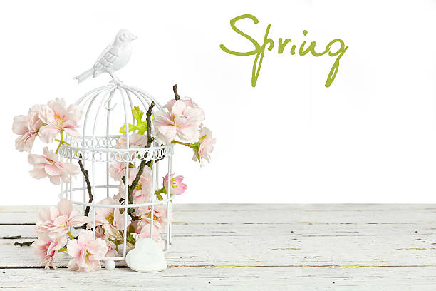 istock birdhouse and spring flowers 465498310