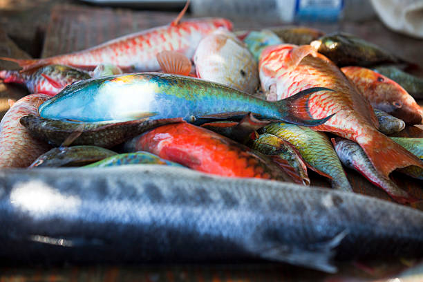 Cтоковое фото Красочные Карибском рыба