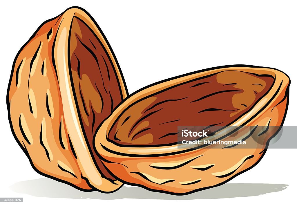 Large Nutshell Nutshell Stock Illustration - Download Image Now - Nutshell, No People ...