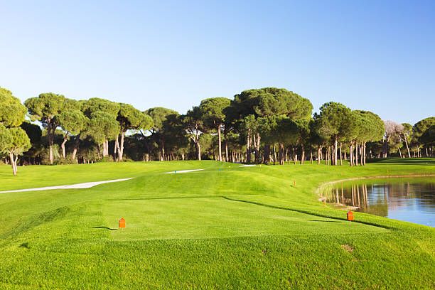 istock Marker at a teeing ground of a golf course 465501934