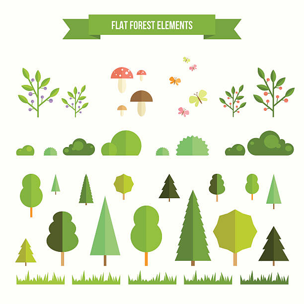 satz von flach forest elemente - fungus forest nature season stock-grafiken, -clipart, -cartoons und -symbole