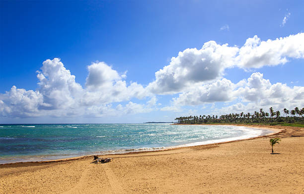 istock Dominican Republic beach 465505668