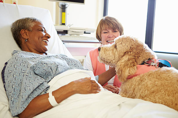 pet therapy dog visiting senior female patient in hospital - alternatieve-therapie-fotos stockfoto's en -beelden