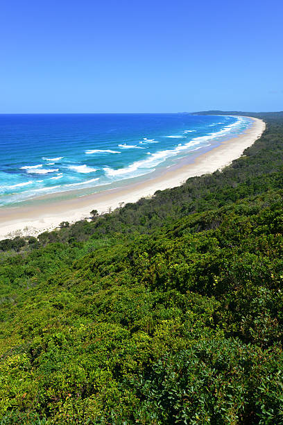 istock High angle view of Tallow Beach, Byron Bay 465508010