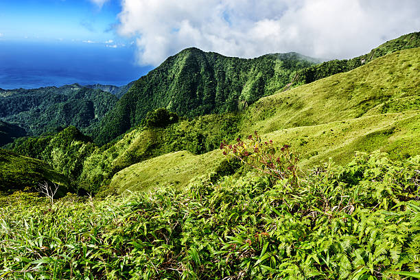 Picturesque view from Mount Pelee in Martinique stock photo