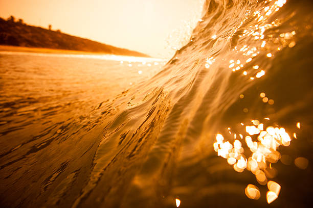 istock Wave building at sunset on a California beach 465513034