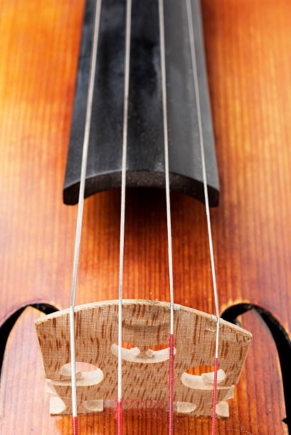 gros plan du violon, alto câbles à repasser - violin cello music letter f photos et images de collection