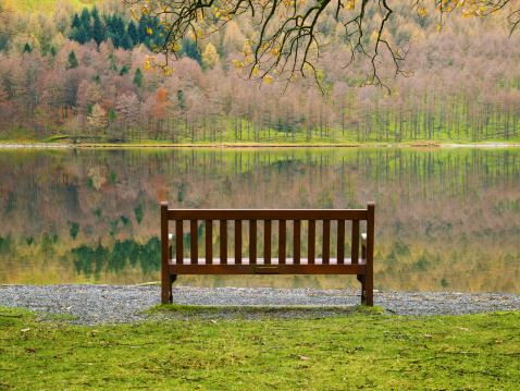 A brown wooden bench in a park