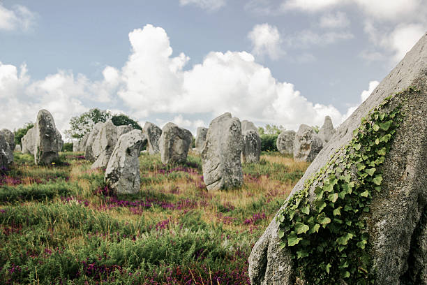 megalithic menhirs de carnac - megalith fotografías e imágenes de stock