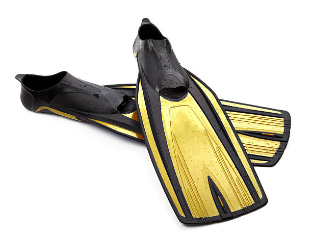 istock Two flippers for diving with water drops 465516585