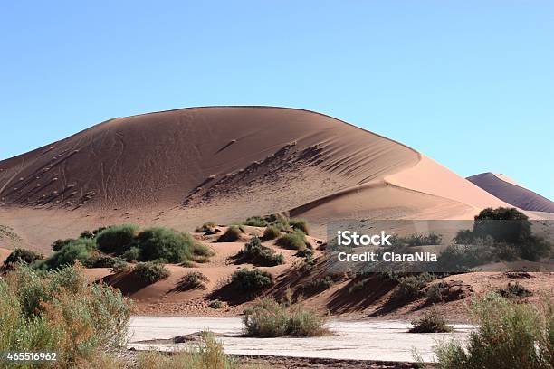 Sossusvlei Trees Trip Through The Desert Under Blue Sky Namibia Stock Photo - Download Image Now