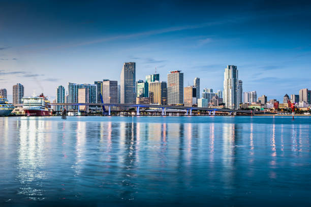 skyline di miami - miami florida night florida skyline foto e immagini stock