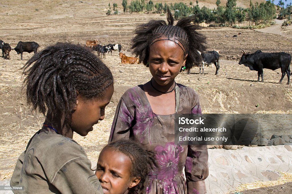 Ethiopian Traditional Girls Stock Photo - Download Image Now - 2015,  Africa, African Culture - iStock