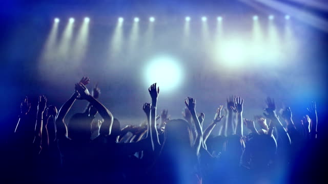 Footage of a crowd partying, dancing slow motion at a concert