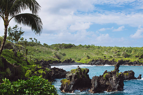 istock Sea Stack Coastline - Wai'anapanapa State Park, Maui, Hawaii 465520915