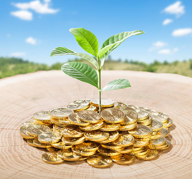 istock plant growing from pile of coins on tree trunk 465521681