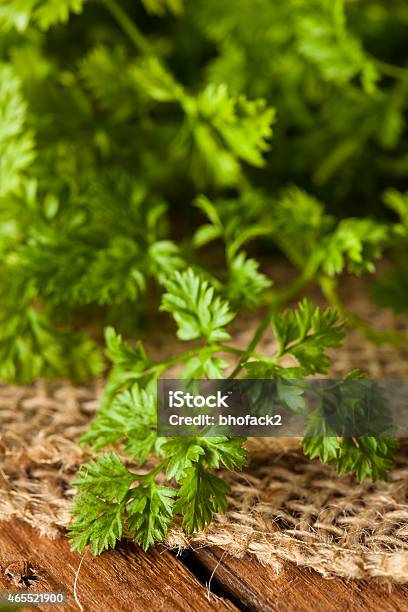 Raw Organic French Parsley Chervil Stock Photo - Download Image Now - 2015, Bright, Bundle