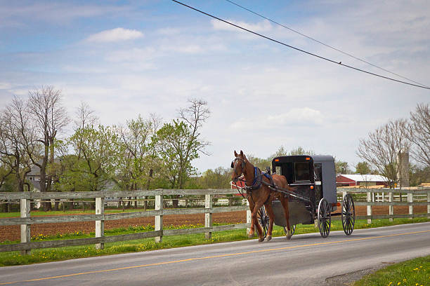 istock Amish Horse drawn Buggy on a country road 465524674