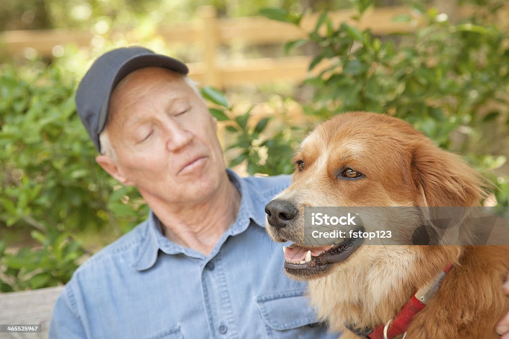 ペット： 老人男性が彼のペットの犬となっています。 - 1人のロイヤリティフリーストックフォト