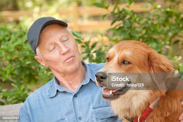 ペット 老人男性が彼のペットの犬となっています - 1人のストックフォトや画像を多数ご用意 - 1人, 70代, アクティブシニア