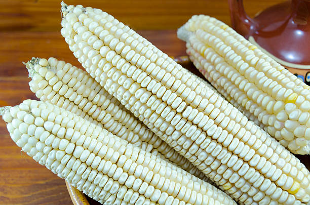 lirio blanco en ladrillo vintage placa - white corn fotografías e imágenes de stock