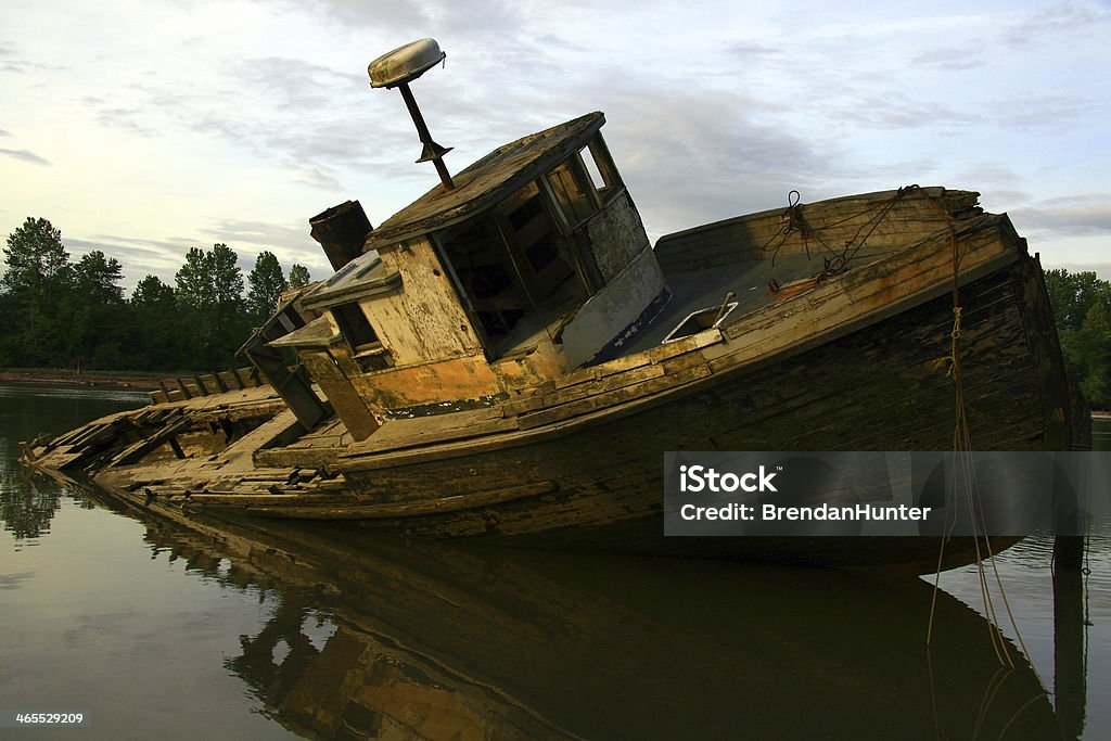Vida do rio - Foto de stock de Acidentes e desastres royalty-free